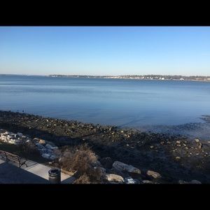 Meet your Posher, Daisy